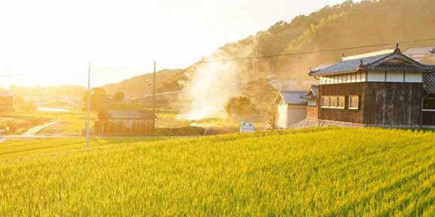 Japanese encephalitis vaccine Yeung Ho Hong - 楊浩康醫生